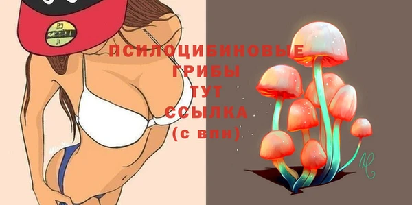 метамфетамин Каменка