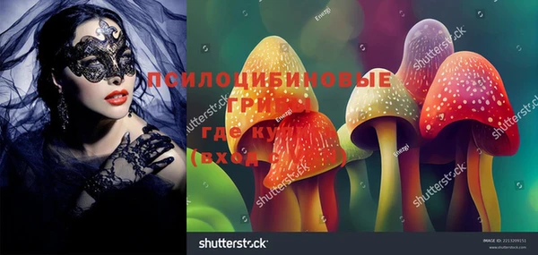 стафф Киренск