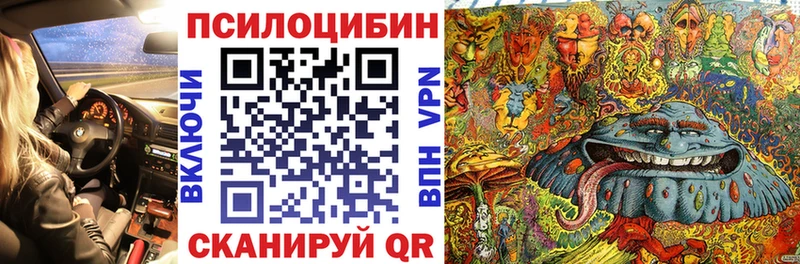 Галлюциногенные грибы Magic Shrooms  где купить наркоту  OMG как зайти  Коряжма 