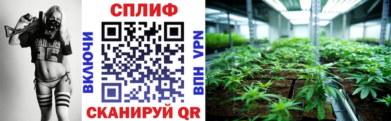 Бошки Шишки Ganja  OMG вход  Коряжма 